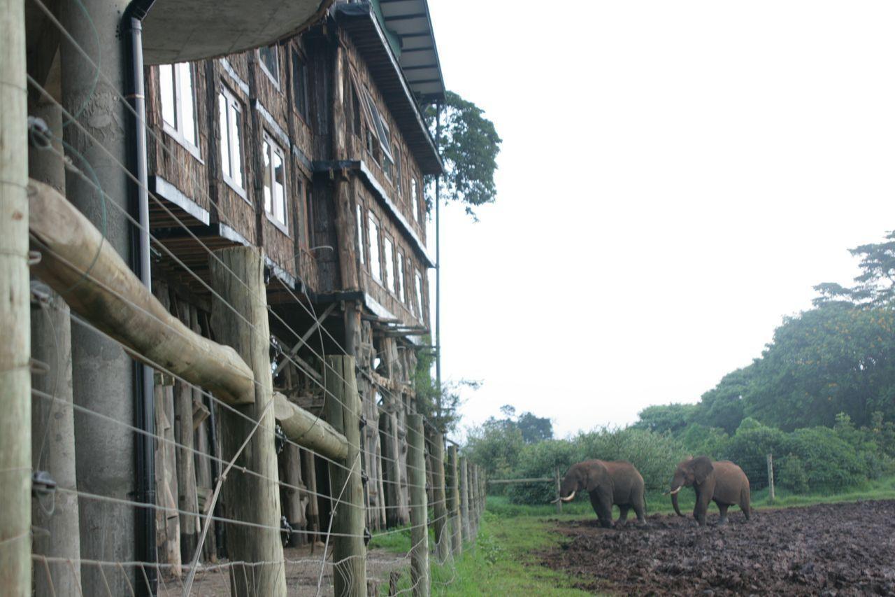 Treetops Mweiga Экстерьер фото