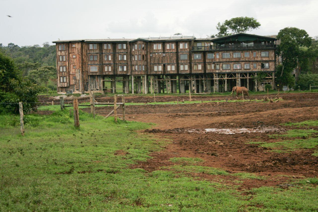 Treetops Mweiga Экстерьер фото