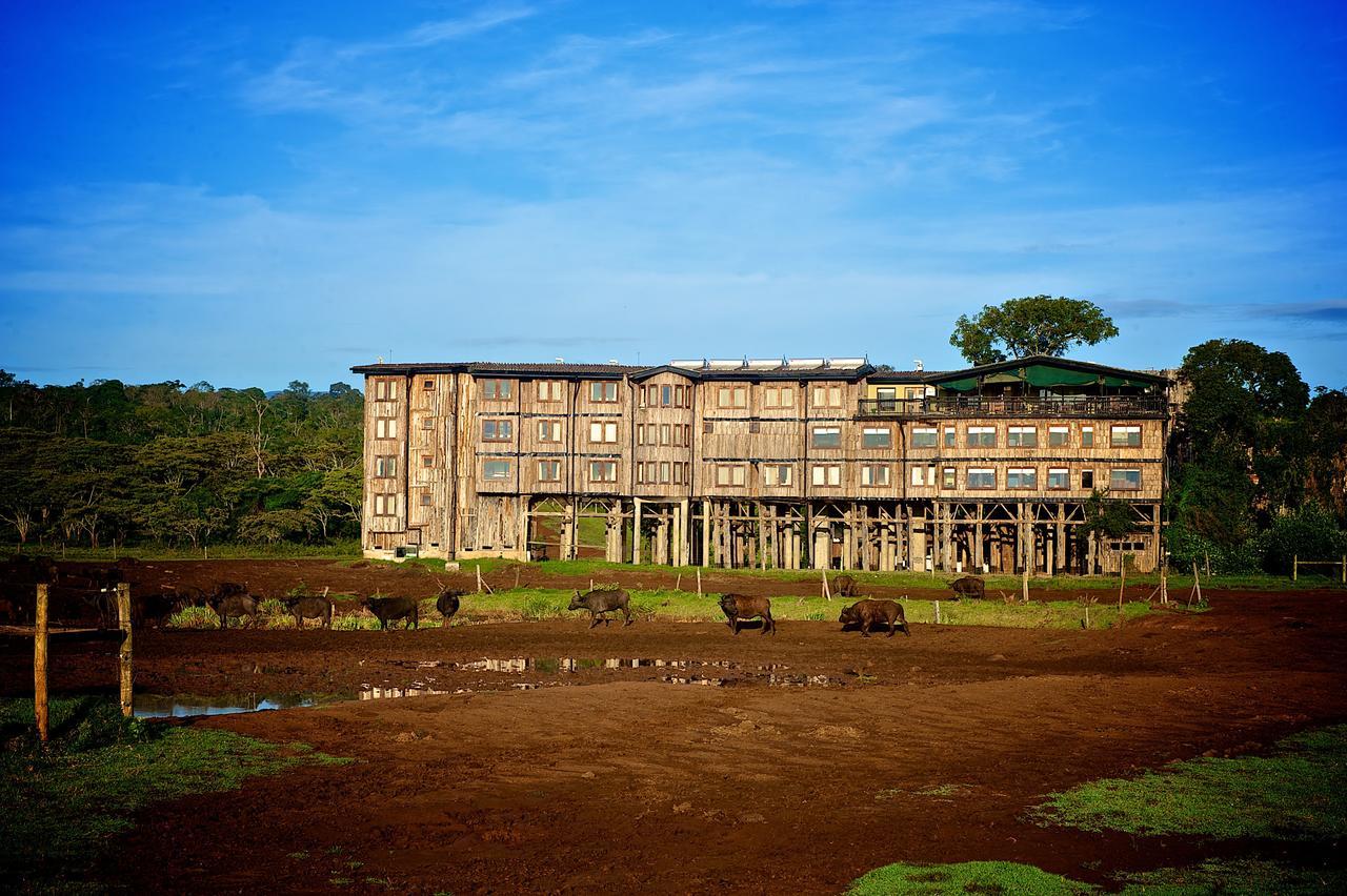 Treetops Mweiga Экстерьер фото