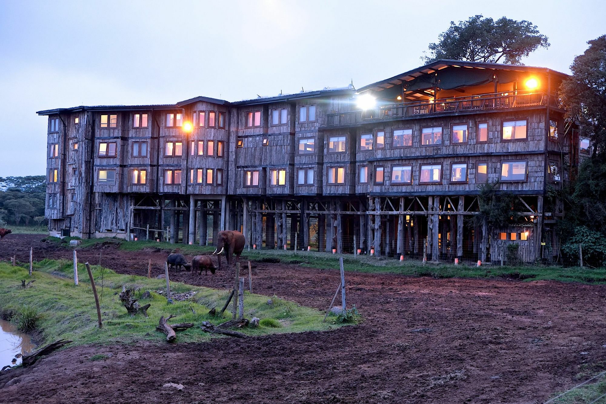 Treetops Mweiga Экстерьер фото