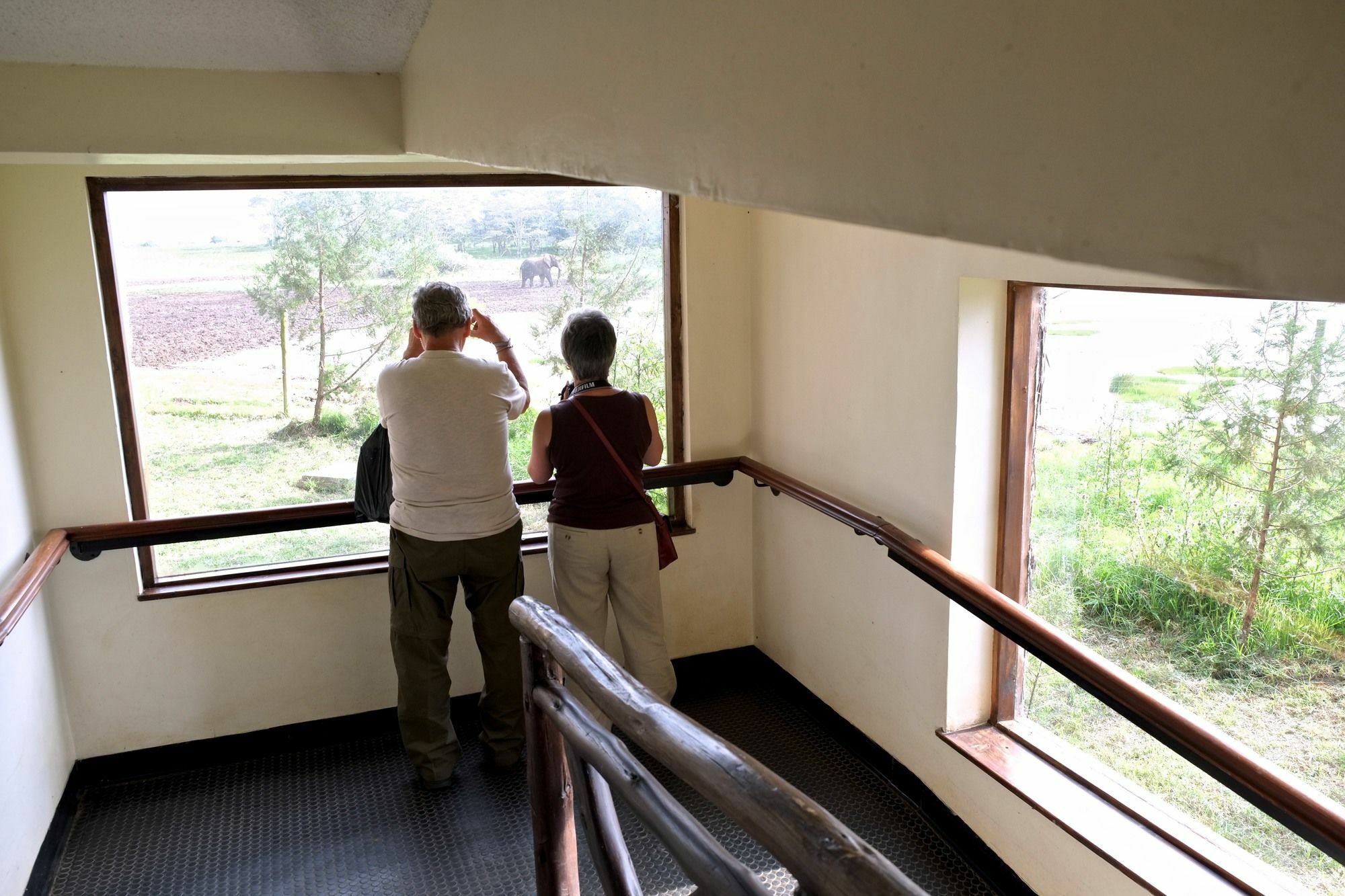Treetops Mweiga Экстерьер фото